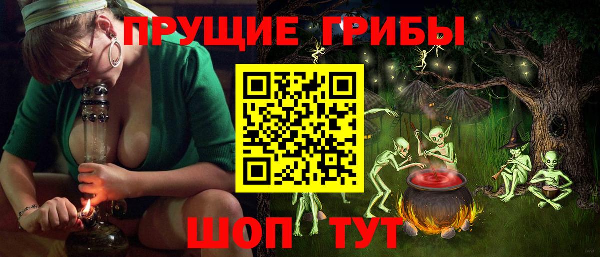 Псилоцибиновые грибы MAGIC MUSHROOMS Богданович
